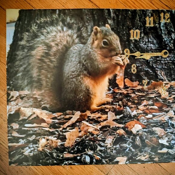 squirrel clock - Picture 2 of 3